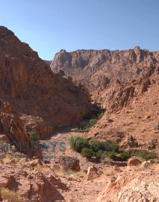 Dahab-St.Catherine Overnight