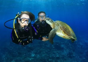 Scuba diving trip